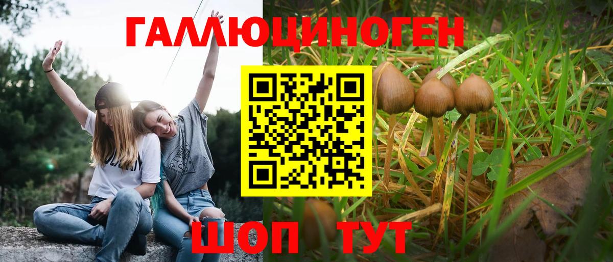 Галлюциногенные грибы GOLDEN TEACHER  Вход с VPN  Энгельс 